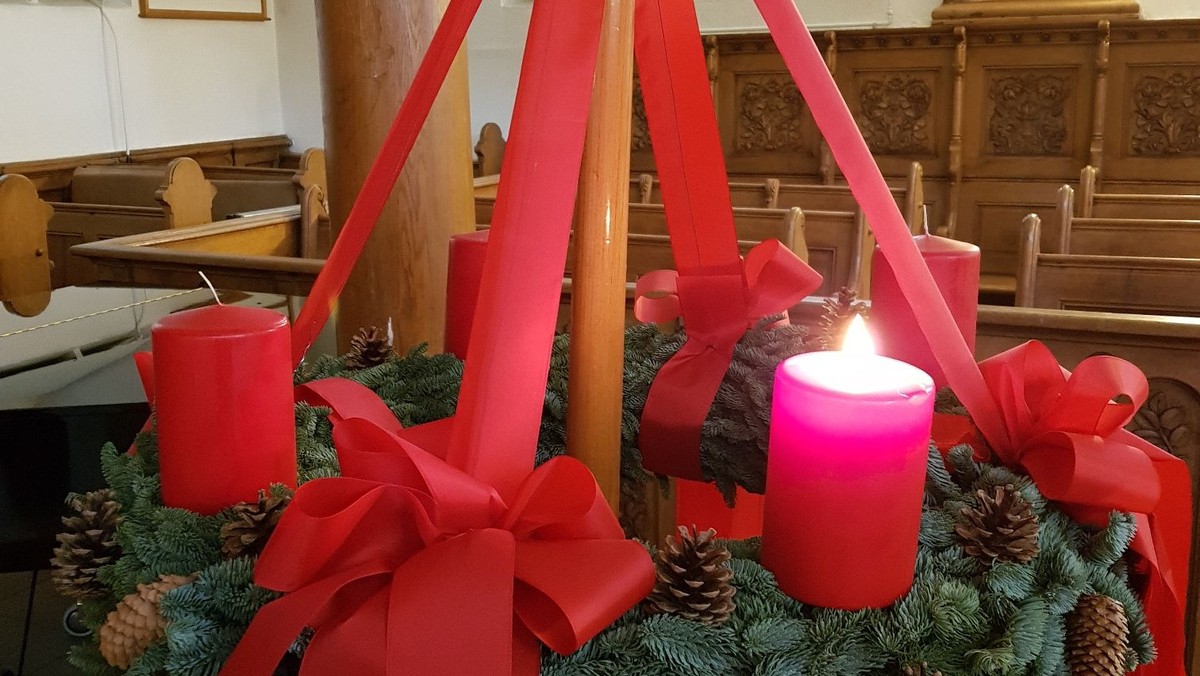 Gottesdienst zum 1. Advent- Hoffnungszeichen Christrose