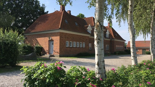 foto taget af hedda salomonsen