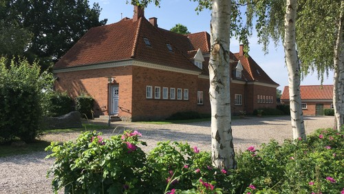 foto taget af hedda salomonsen