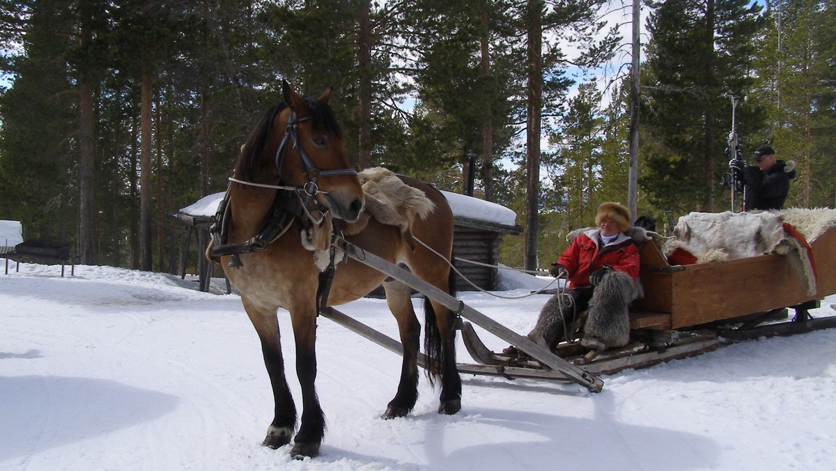2. juledag gudstjeneste
