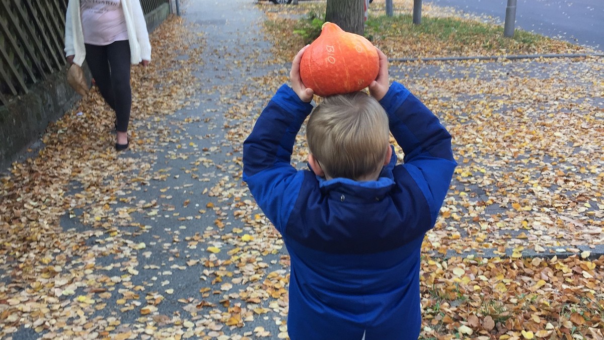 Open-Air-Familiengottesdienst zum Erntedankfest im Gemeindegarten - auch im Livestream