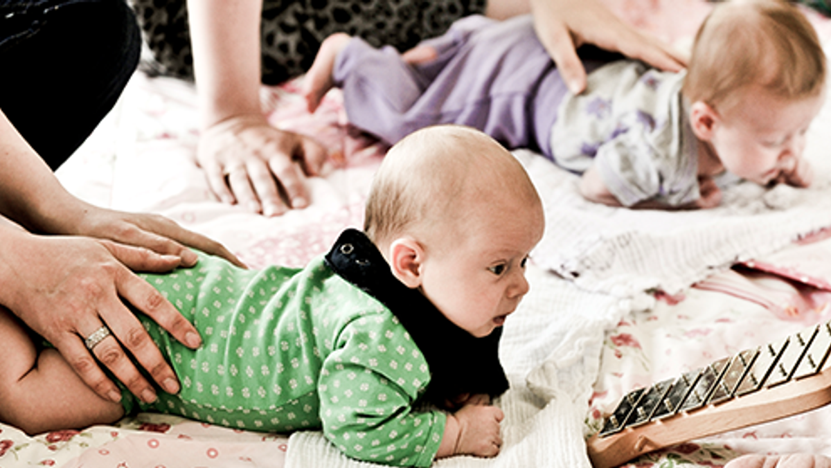 Babysalmesang - opstart