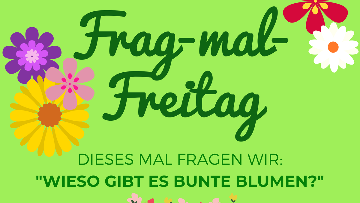 Frag-mal-Freitag