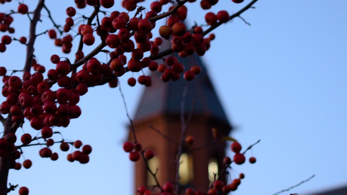 Liturgisk gudstjeneste