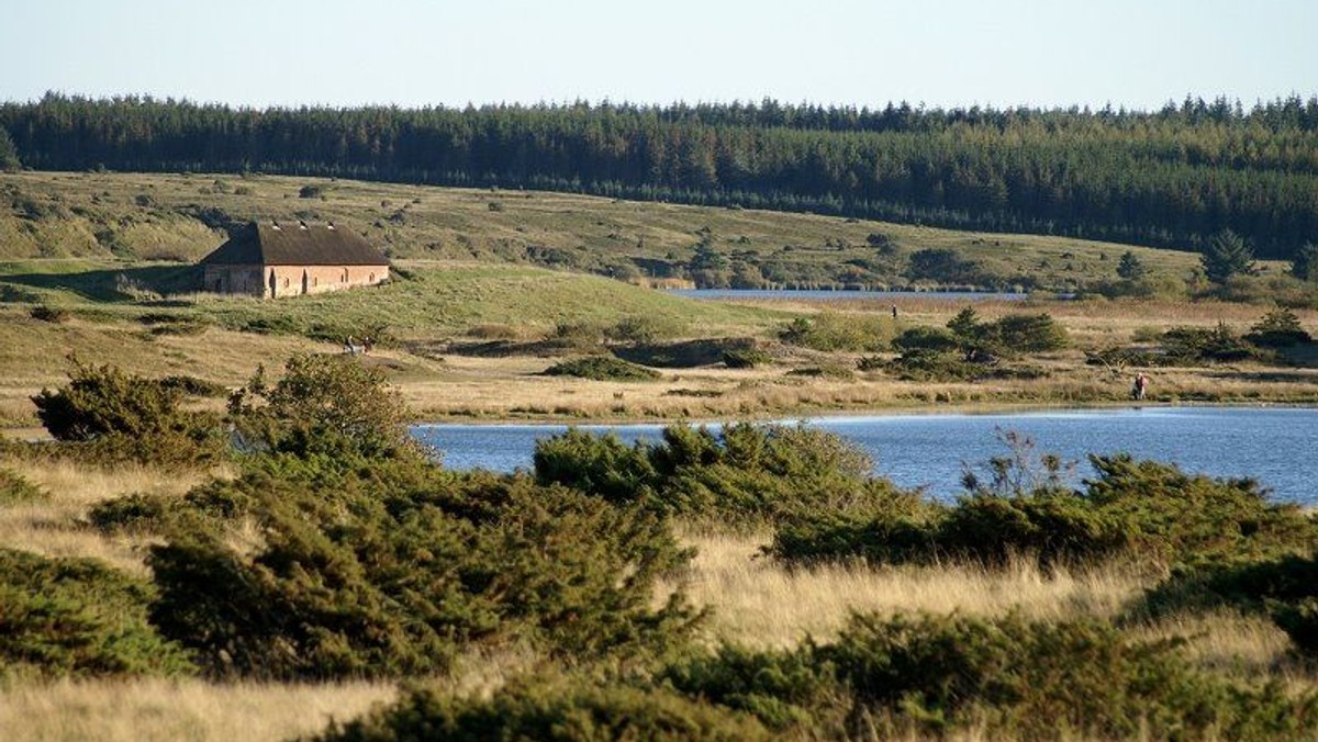 Pilgrimsvandring, forsommer