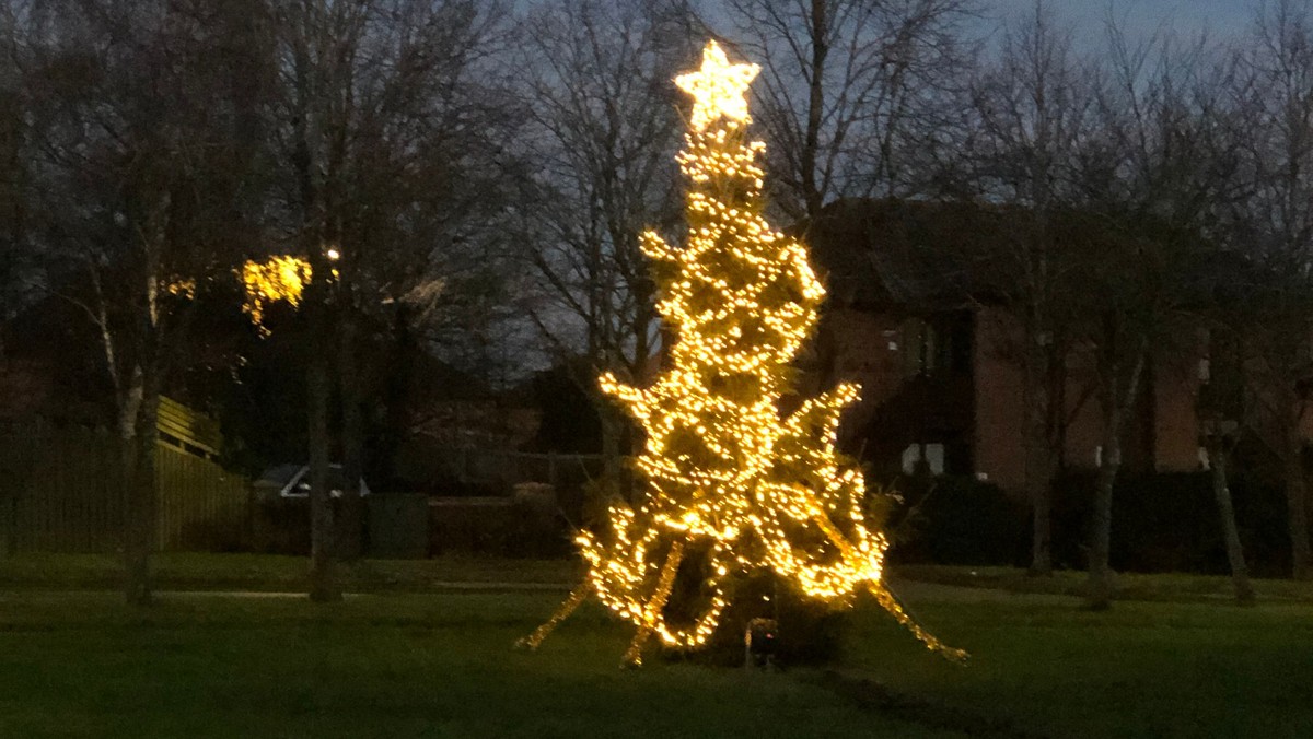 Servant King Christmas Lights Switch On