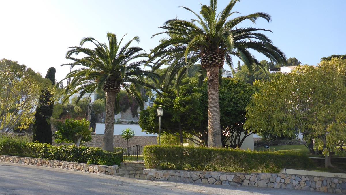Havegudstjeneste i Las Palomas, La Herradura