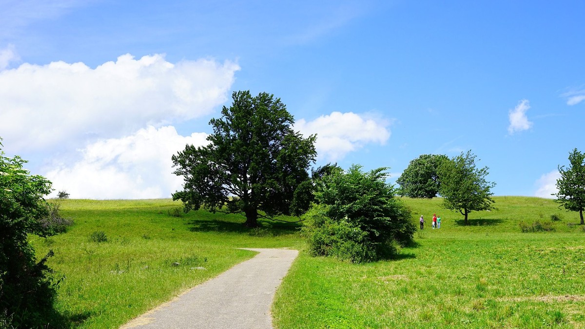 Café Michael - sommerminder