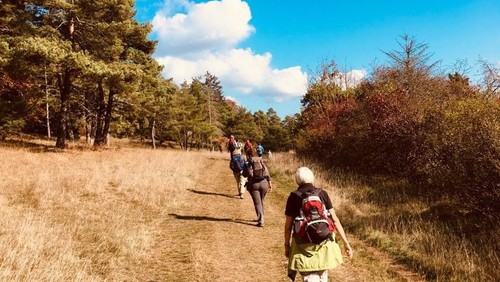 Pilgerwanderung für Seniorinnen und Senioren: Rundweg durch den Tegeler Forst