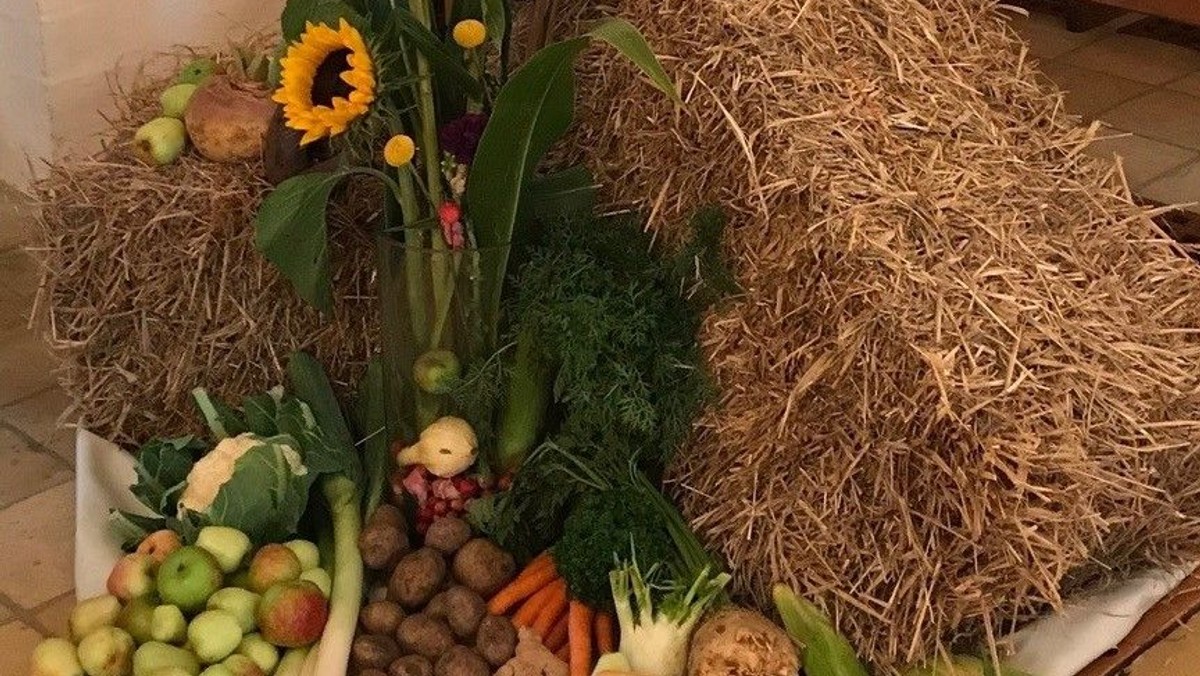 Søndag 11. - Høstgudstjeneste - Efter gudstjenesten høstfest i Nicolaihuset