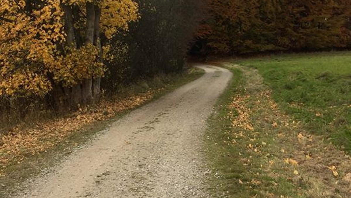 AFLYST PGA SYGDOM Pilgrimsvandring