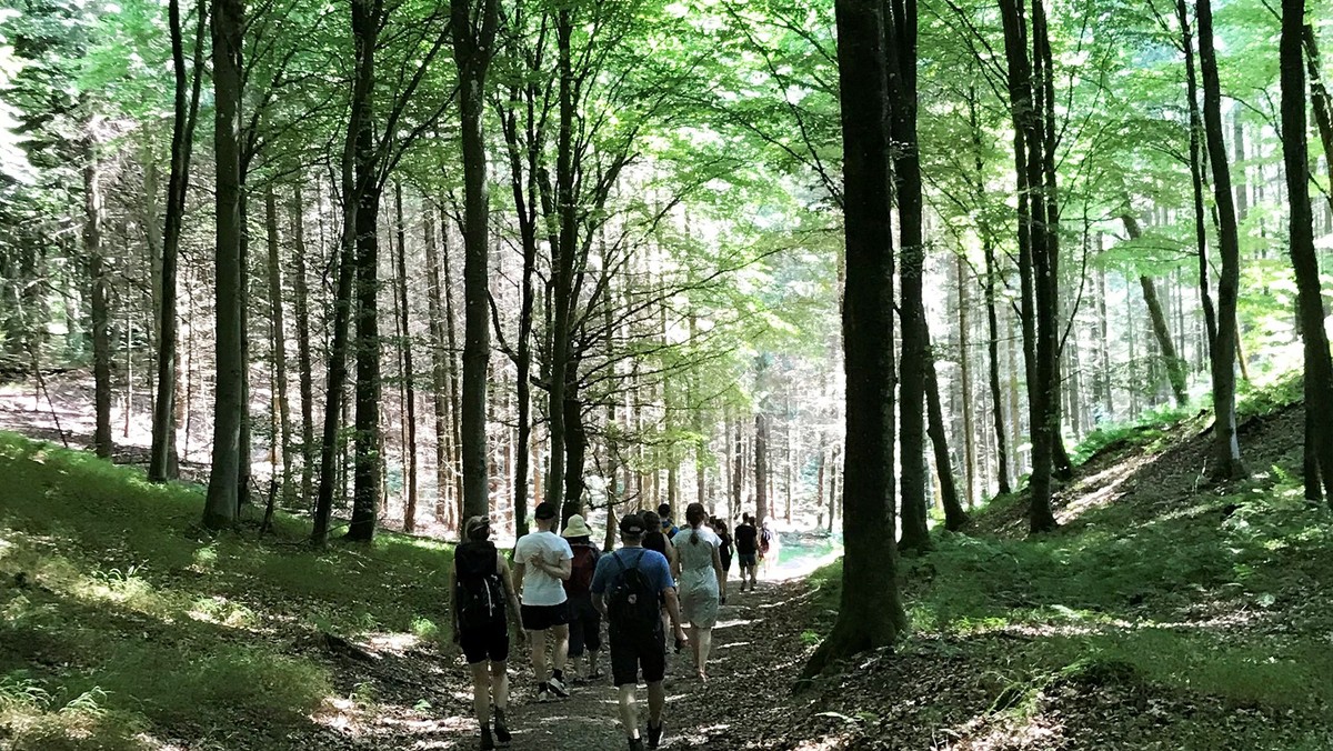Pilgrimsvandring i Mølleådalen