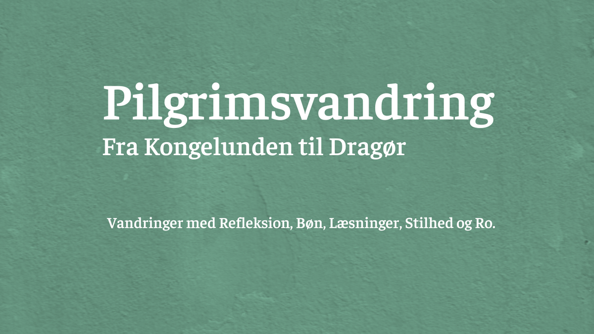 Pilgrimsvandring fra Kongelunden til Dragør med Valby Pilgrimsgruppe