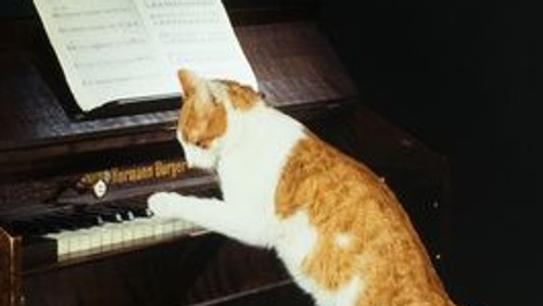 Madame Pylinska und das Geheimnis von Chopin. Ein Abend mit Musik und Dichtung