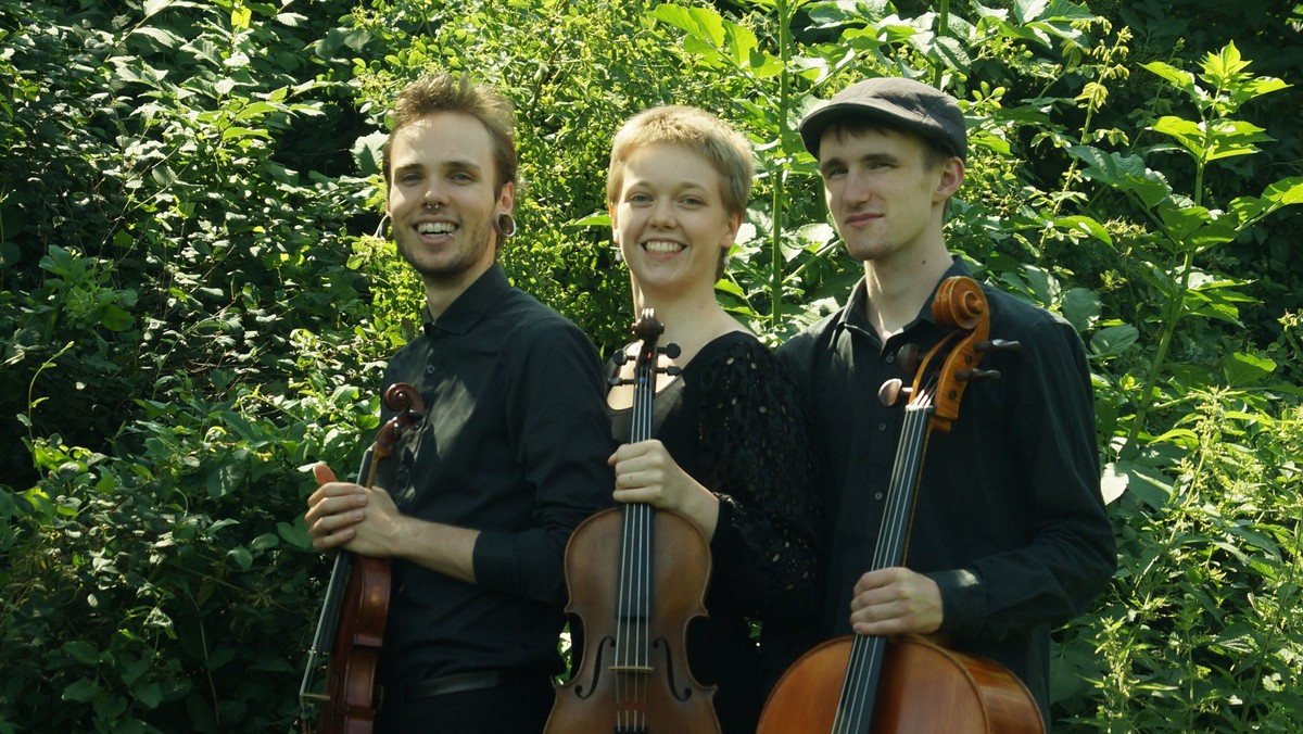 VFK & Vennerne, med videre: TrioTrio