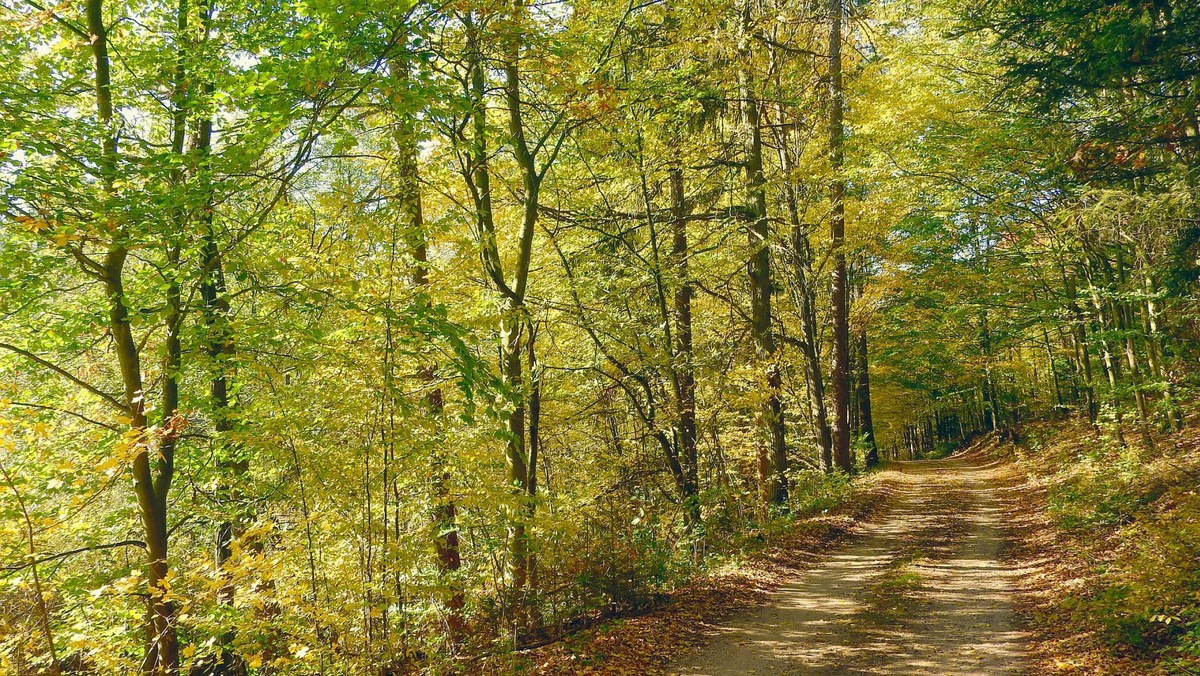 Pilgrimsvandring i Sohngårdsholmsparken