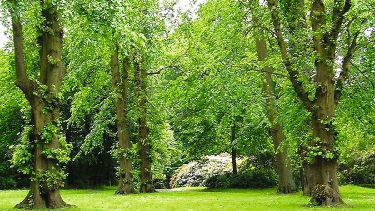 Gemeindenachmittag 14:30 Uhr zum Ausflug in den Hirschpark