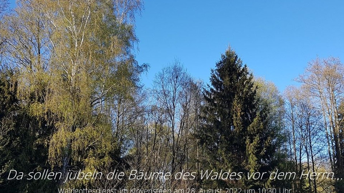 Wald-Gottesdienst mit den Kirchengemeinden Halstenbek und Stephanskirche Schenefeld