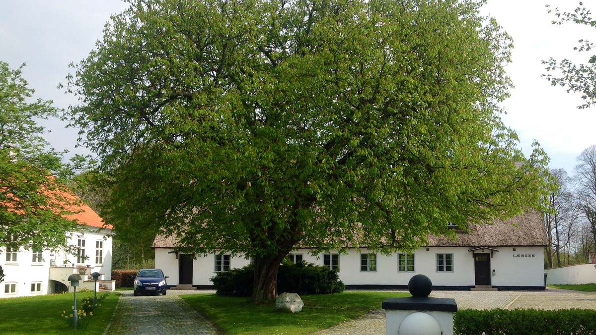 Gudstjeneste i Karlebo Kirke for Mergeltoftens beboere. Herefter frokost i Længen
