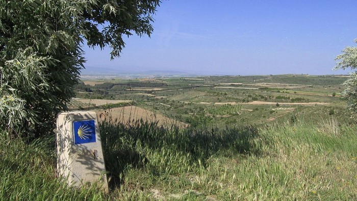 Ein Wegweiser mit blauem Schild in einer grünen Landschaft