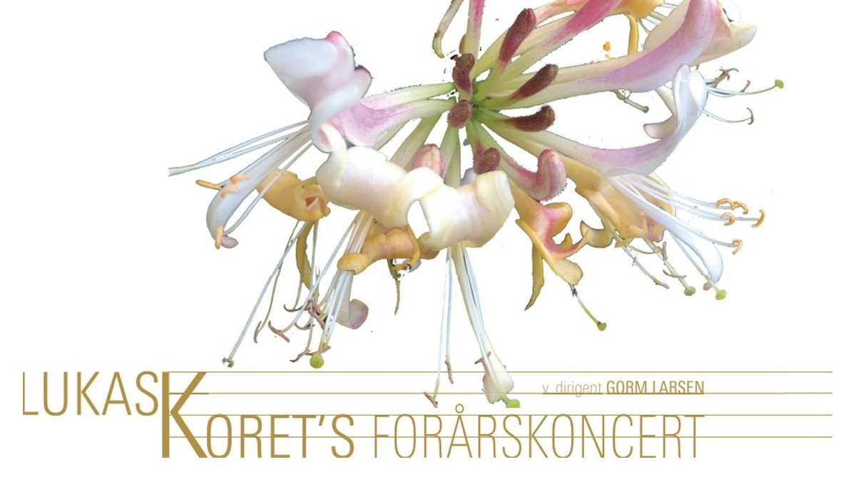 Koncert med Lukaskoret