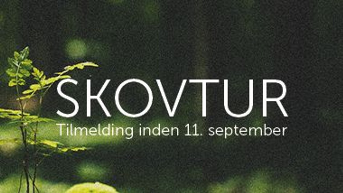 Skovtur