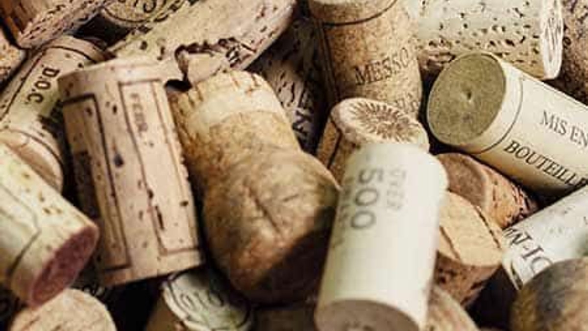 Vinsmagning Rioja og Røverhistorier