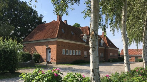 foto taget af hedda salomonsen