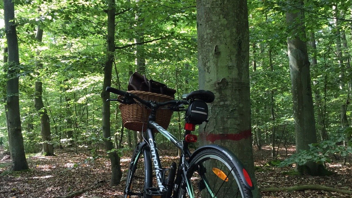 KirkeCykelStafet 2022