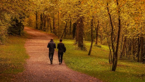 LN_Photoart