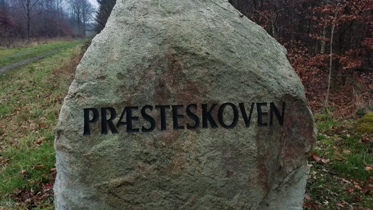 Skovvandring