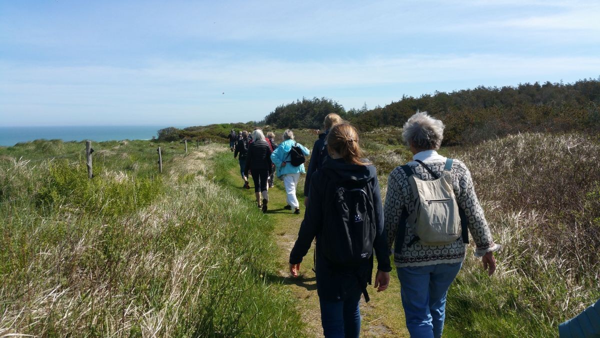 Pilgrimsvandring