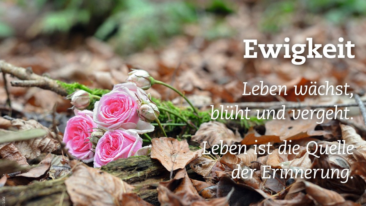 Gottesdienst zum Ewigkeitssonntag