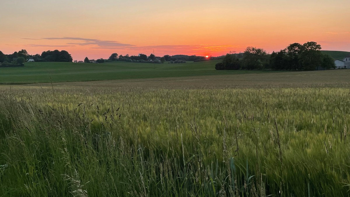 Sommeraftensang 2022