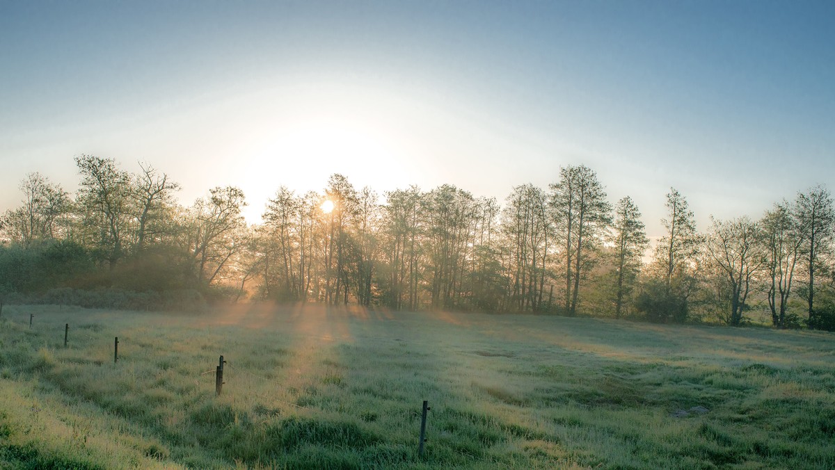 Morgenandagt