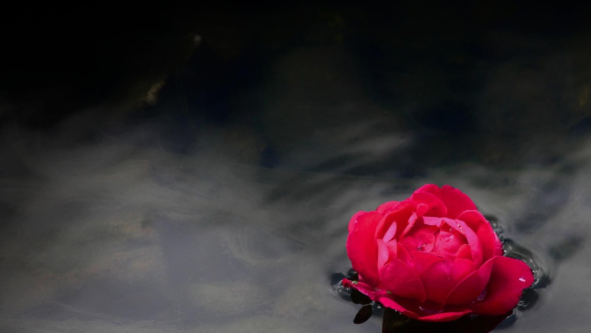 Mindfulness gudstjeneste - Tema: Åndedrættet