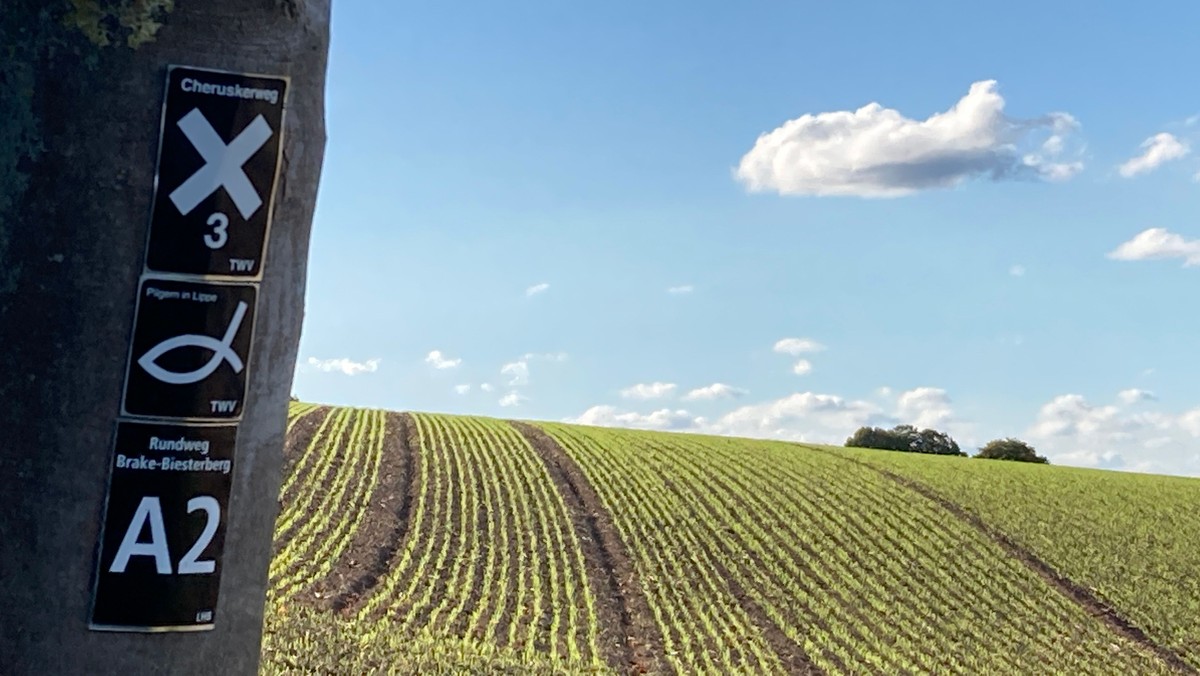 Pilgern auf dem "Weg der Blicke"