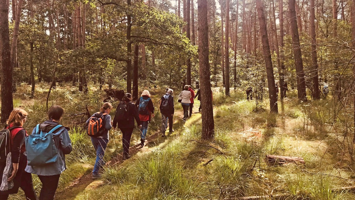 Pilgerwanderung für Seniorinnen und Senioren: Rund vom Wannsee: Kladow nach Sacrow (mit Fährfahrt)