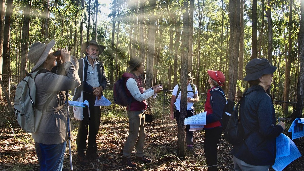Spirituelle Wanderung in Bewegung - sich bewegen lassen