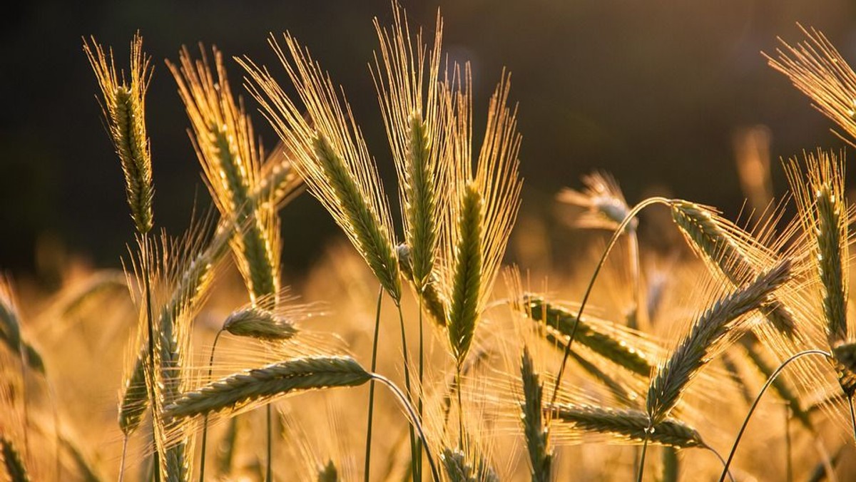 Høst - og klimagudstjeneste i Karlslunde