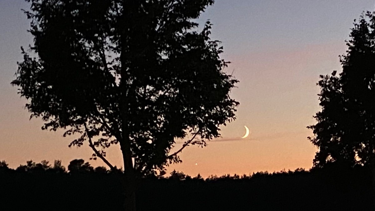 Dunkel war's, der Mond schien helle - Orgelmusik zur Nacht