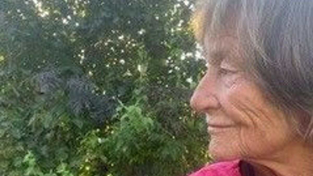 Seniorklubben - Programændring