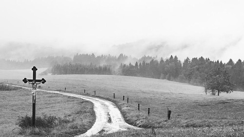 Sommerpredigtreihe: Der Weg (Herbert Grönemeyer) – Leben mit dem Tod