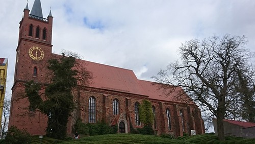 Dagmar Müller