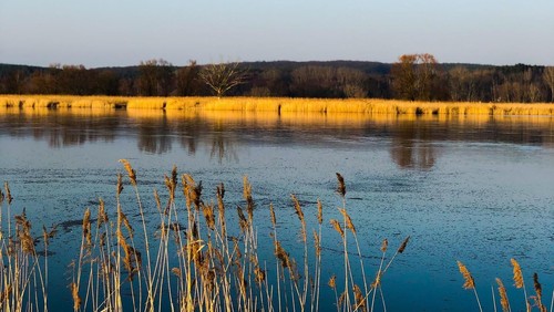 Tagesausflug in das Oderbruch