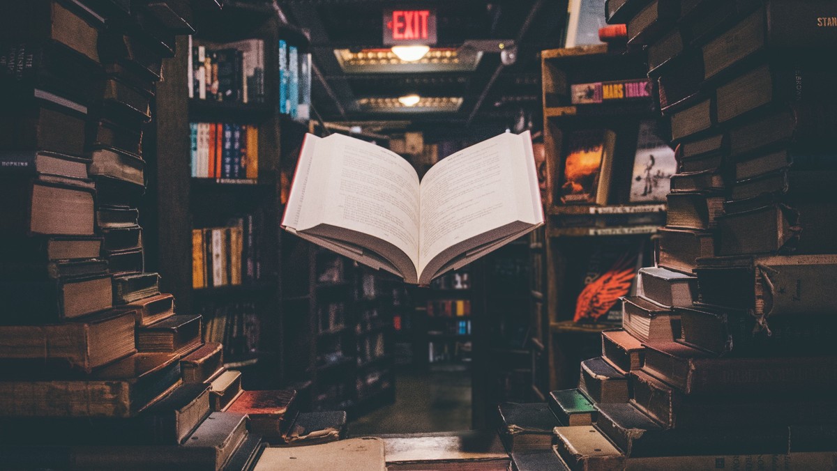 Litteratur og kunstsalon - Henrik Potoppidan