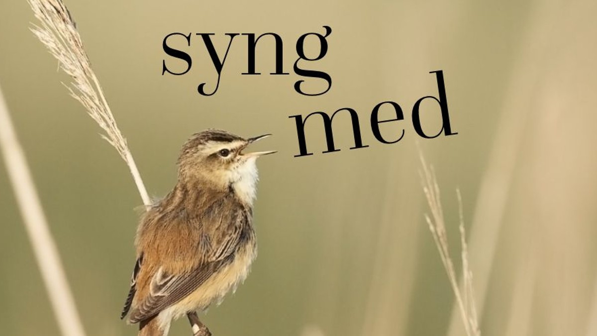 Syng med