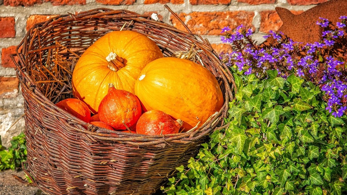 Festgottesdienst zum Erntedankfest