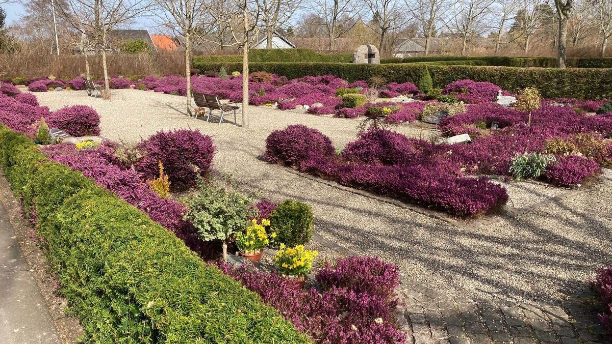 Rundvisning på kirkegården