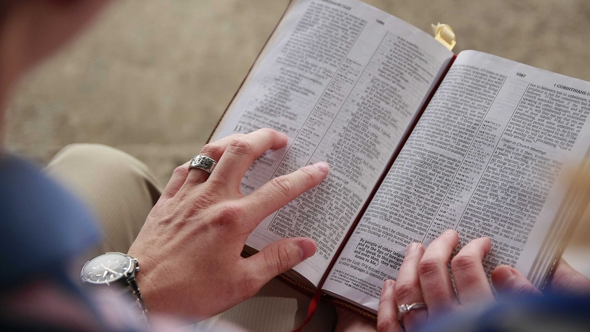 Die Bibel heute verstehen